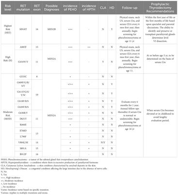 Unveiling new chapters in medullary thyroid carcinoma therapy: advances in molecular genetics and targeted treatment strategies